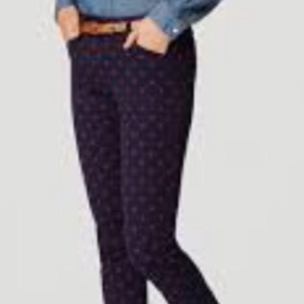 Ann Taylor curvy stretch velvet polka dot pants. Worn maybe twice